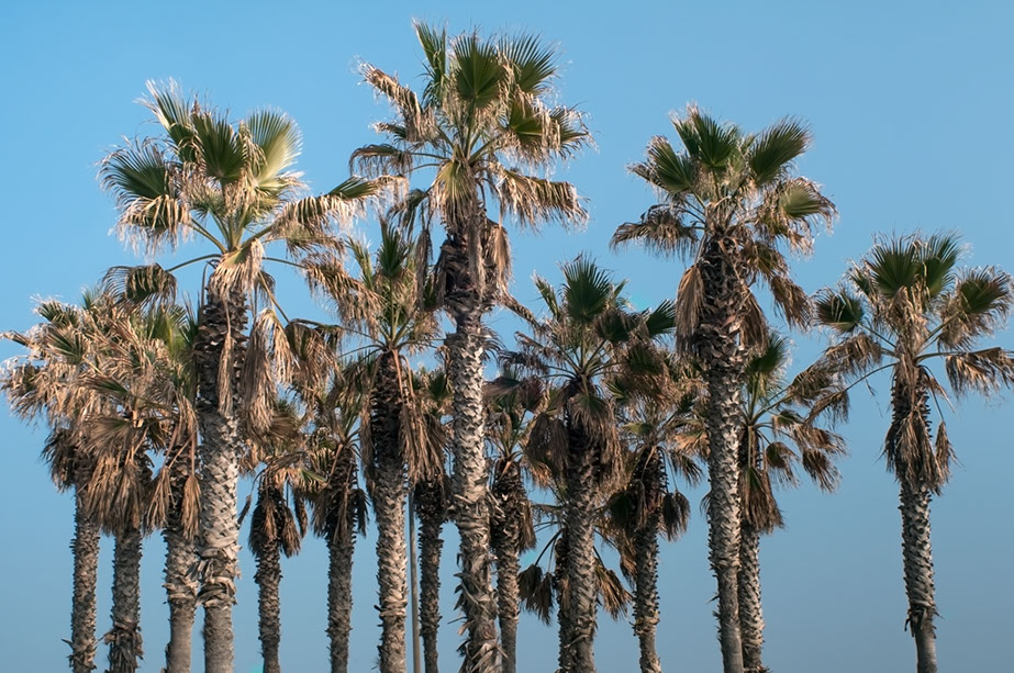 romanle, roman le, #romanle, @romanle, nowhere to go