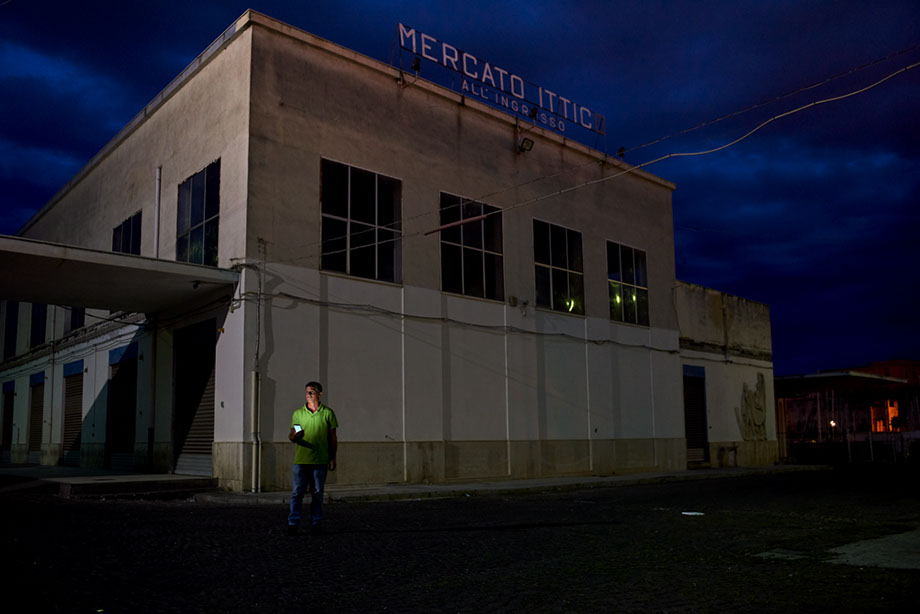 romanle, roman le, #romanle, @romanle, the zombies