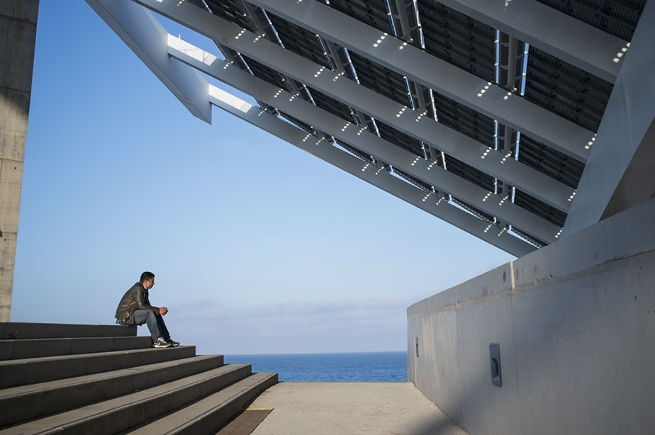 romanle, roman le, #romanle, @romanle